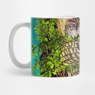 Nesting Owl Mug